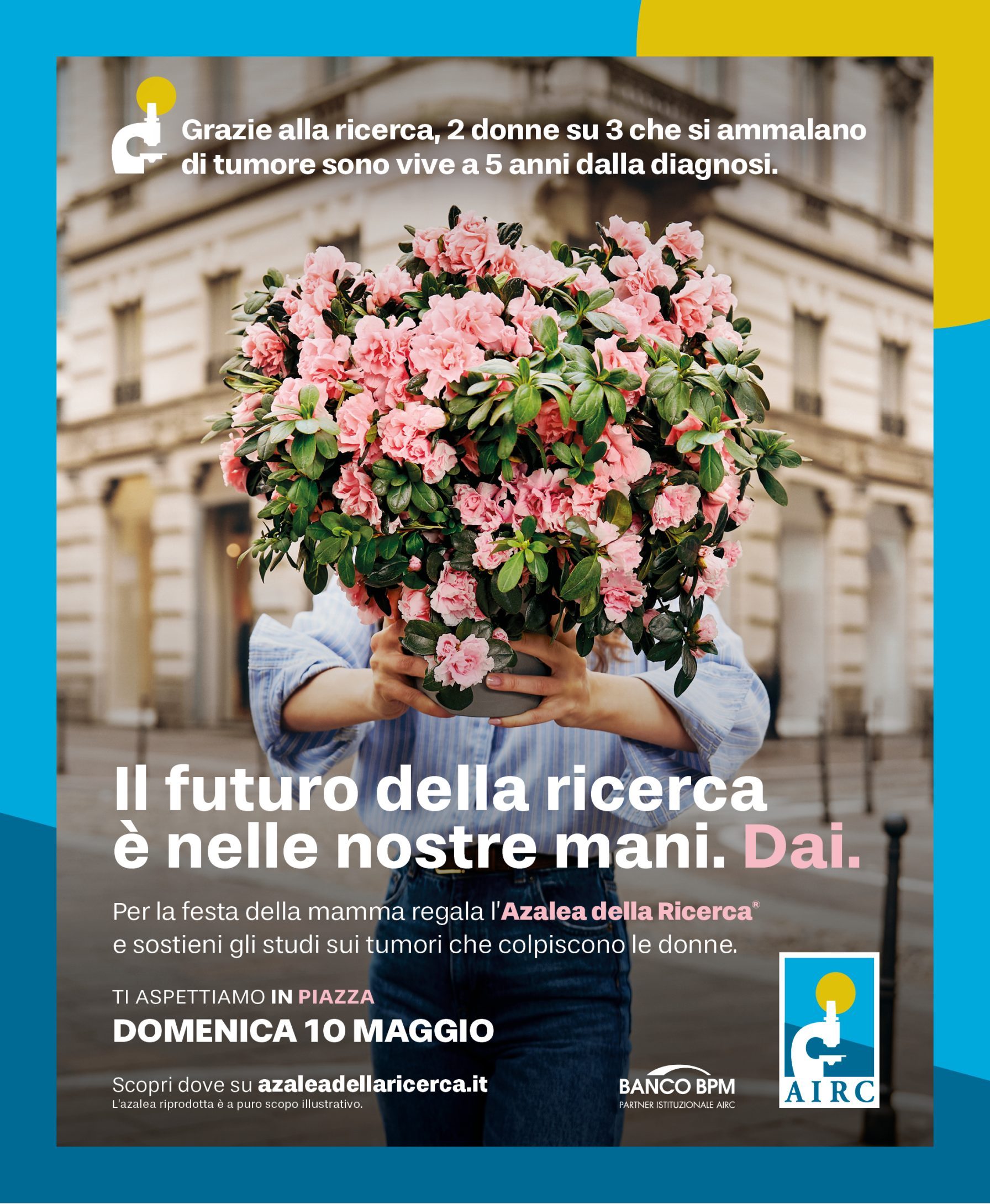 Azalea della Ricerca